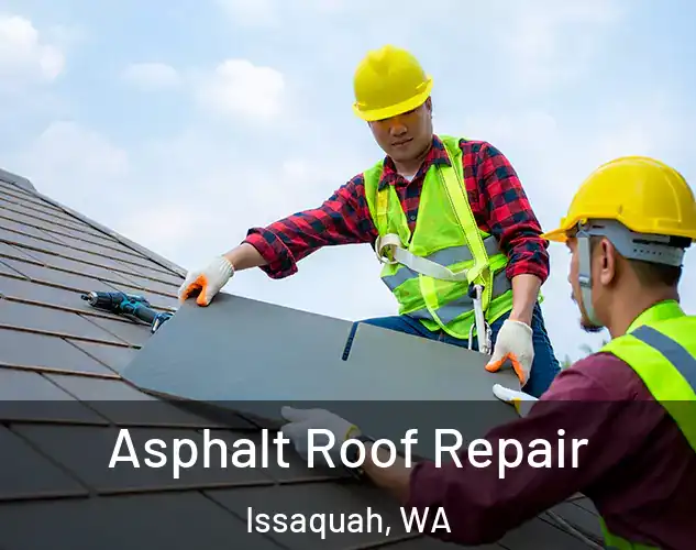  Asphalt Roof Repair Issaquah, WA