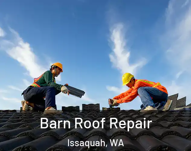  Barn Roof Repair Issaquah, WA