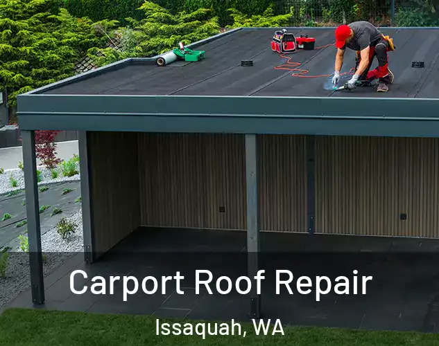  Carport Roof Repair Issaquah, WA
