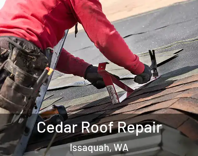  Cedar Roof Repair Issaquah, WA