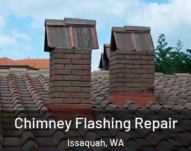  Chimney Flashing Repair Issaquah, WA
