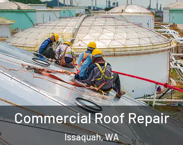  Commercial Roof Repair Issaquah, WA