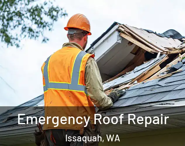  Emergency Roof Repair Issaquah, WA