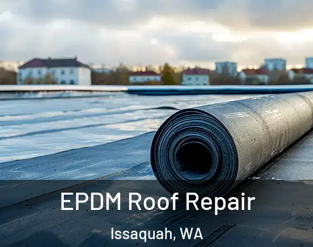  EPDM Roof Repair Issaquah, WA