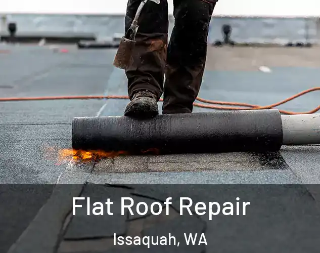  Flat Roof Repair Issaquah, WA