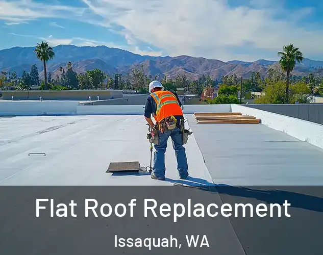  Flat Roof Replacement Issaquah, WA