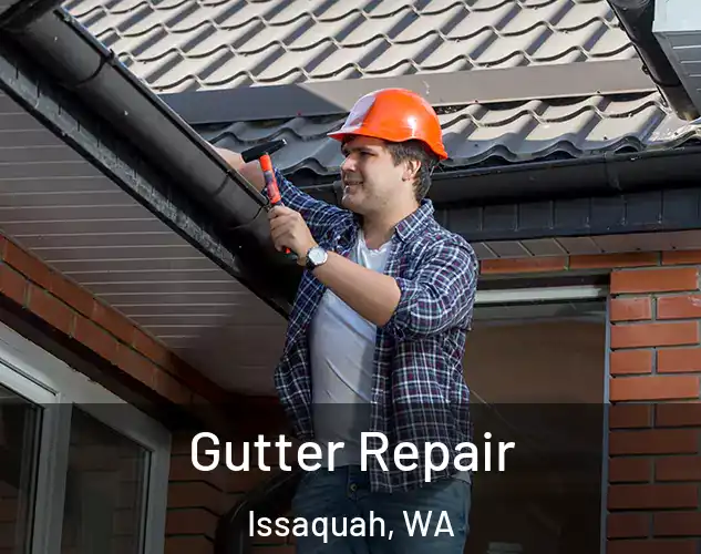  Gutter Repair Issaquah, WA
