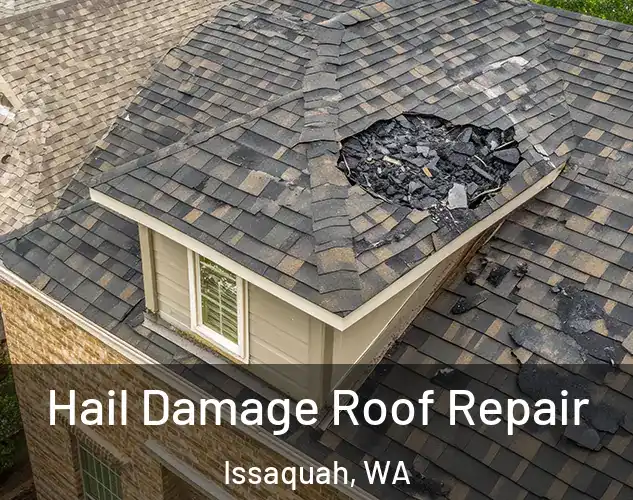  Hail Damage Roof Repair Issaquah, WA