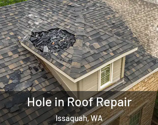  Hole in Roof Repair Issaquah, WA