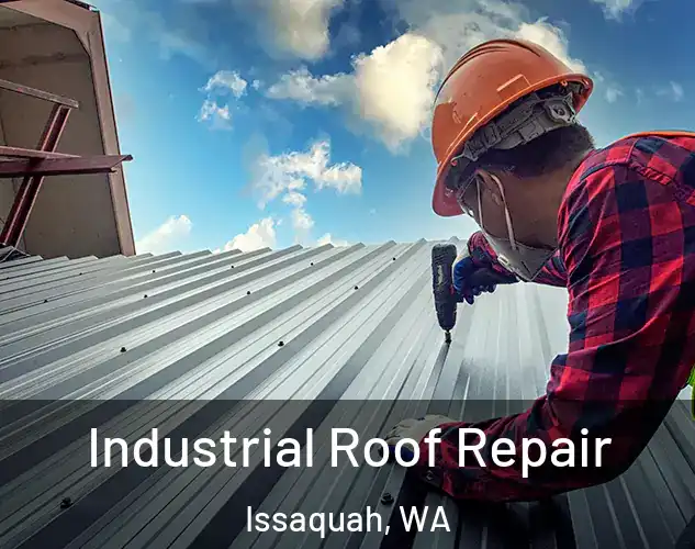  Industrial Roof Repair Issaquah, WA