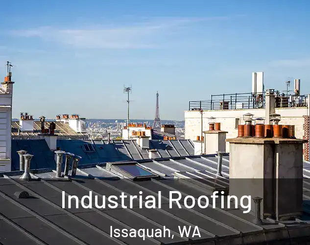  Industrial Roofing Issaquah, WA