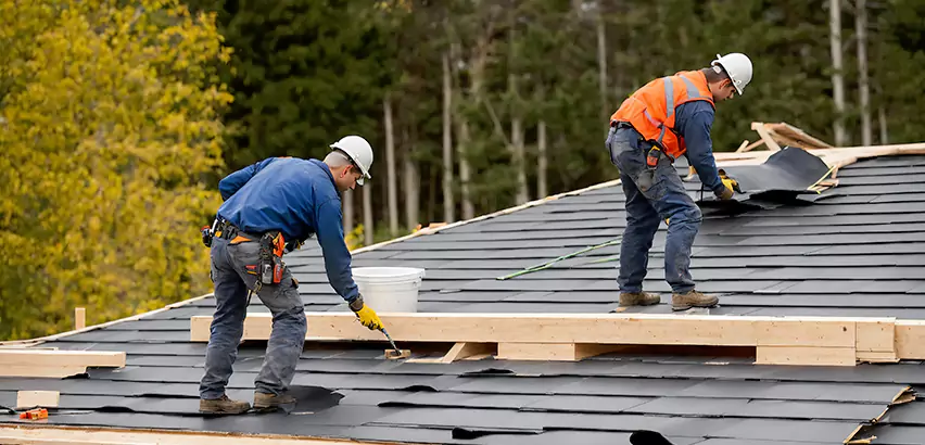 Agricultural Roof Maintenance Issaquah