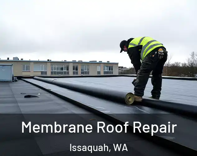  Membrane Roof Repair Issaquah, WA