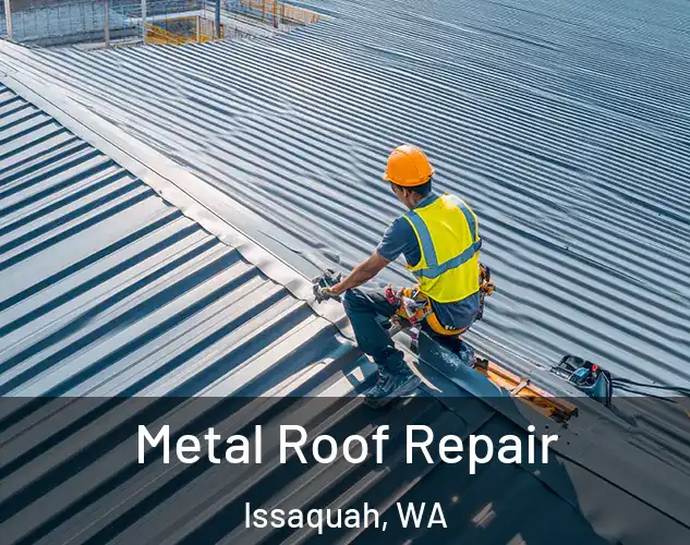  Metal Roof Repair Issaquah, WA