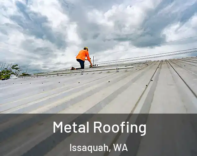  Metal Roofing Issaquah, WA