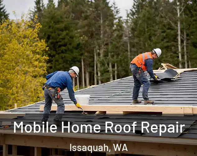  Mobile Home Roof Repair Issaquah, WA