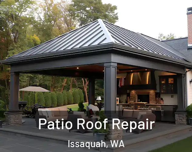  Patio Roof Repair Issaquah, WA