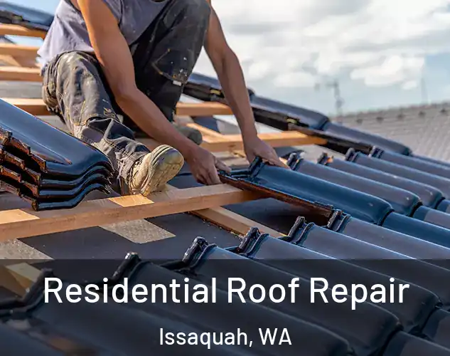  Residential Roof Repair Issaquah, WA