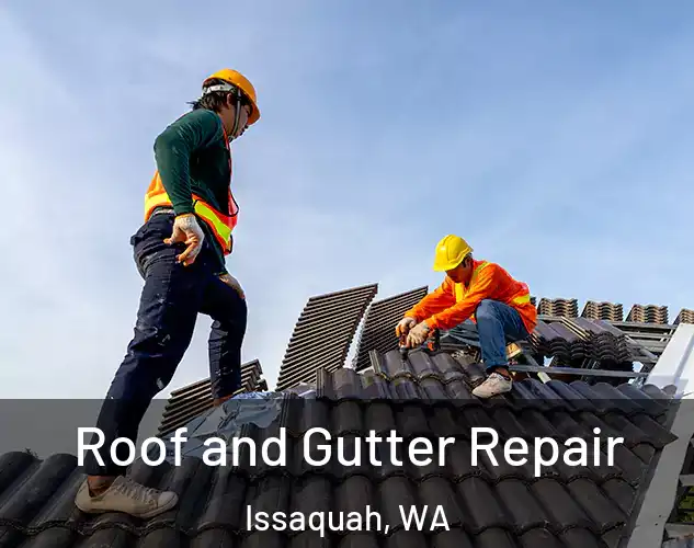  Roof and Gutter Repair Issaquah, WA