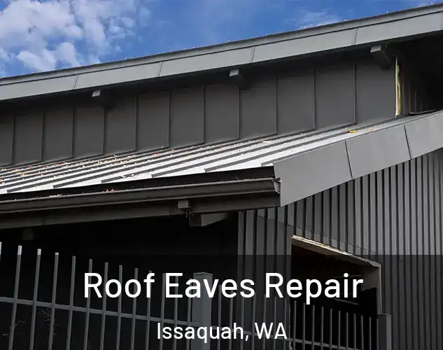  Roof Eaves Repair Issaquah, WA