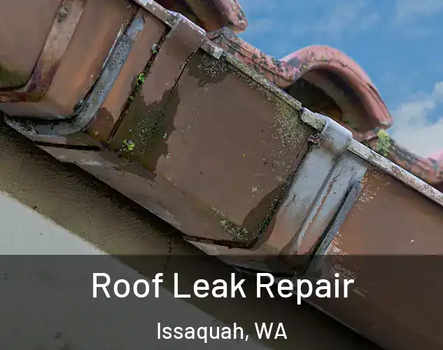  Roof Leak Repair Issaquah, WA