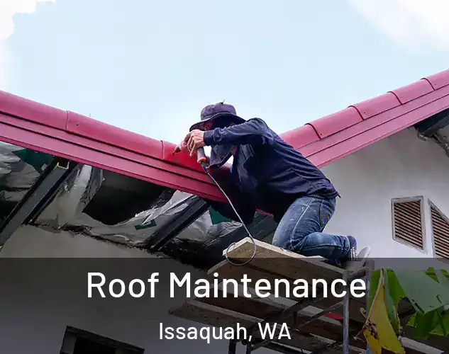  Roof Maintenance Issaquah, WA