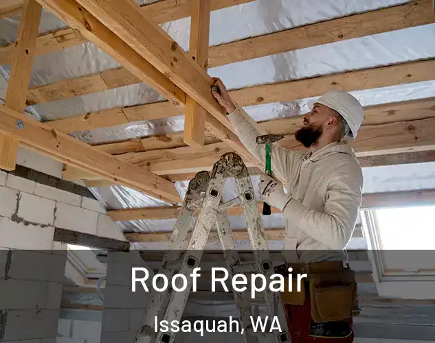 Roof Repair Issaquah, WA