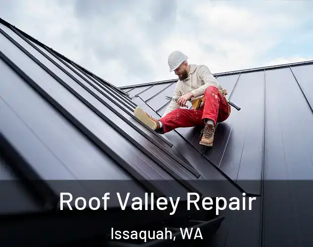  Roof Valley Repair Issaquah, WA