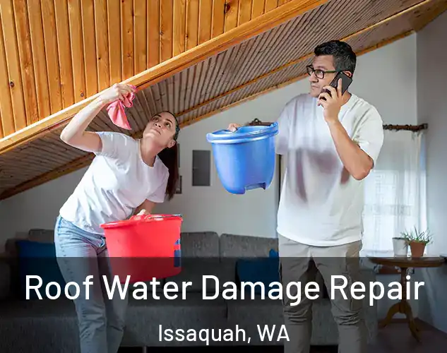  Roof Water Damage Repair Issaquah, WA