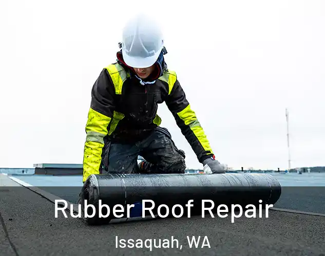  Rubber Roof Repair Issaquah, WA