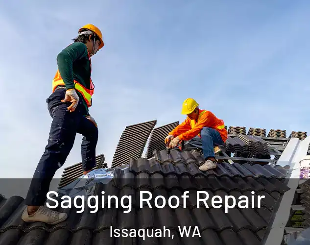 Sagging Roof Repair Issaquah, WA