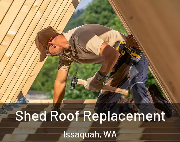  Shed Roof Replacement Issaquah, WA