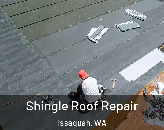  Shingle Roof Repair Issaquah, WA