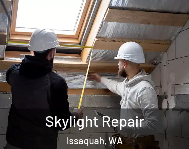  Skylight Repair Issaquah, WA