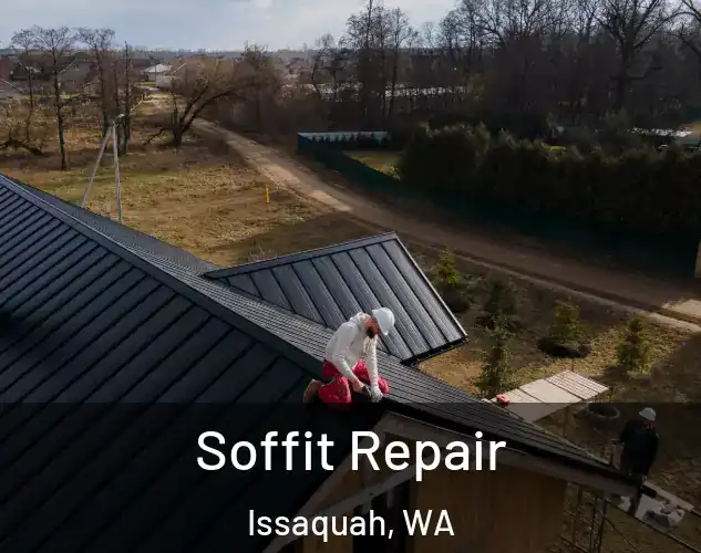  Soffit Repair Issaquah, WA