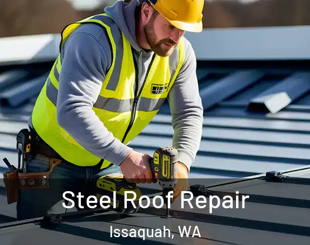  Steel Roof Repair Issaquah, WA