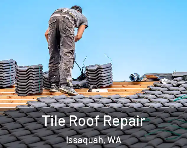  Tile Roof Repair Issaquah, WA