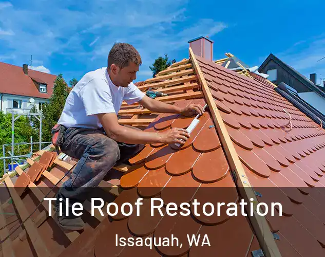  Tile Roof Restoration Issaquah, WA