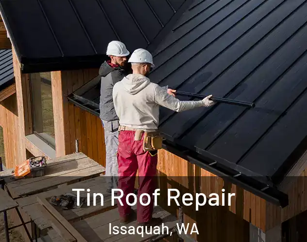  Tin Roof Repair Issaquah, WA